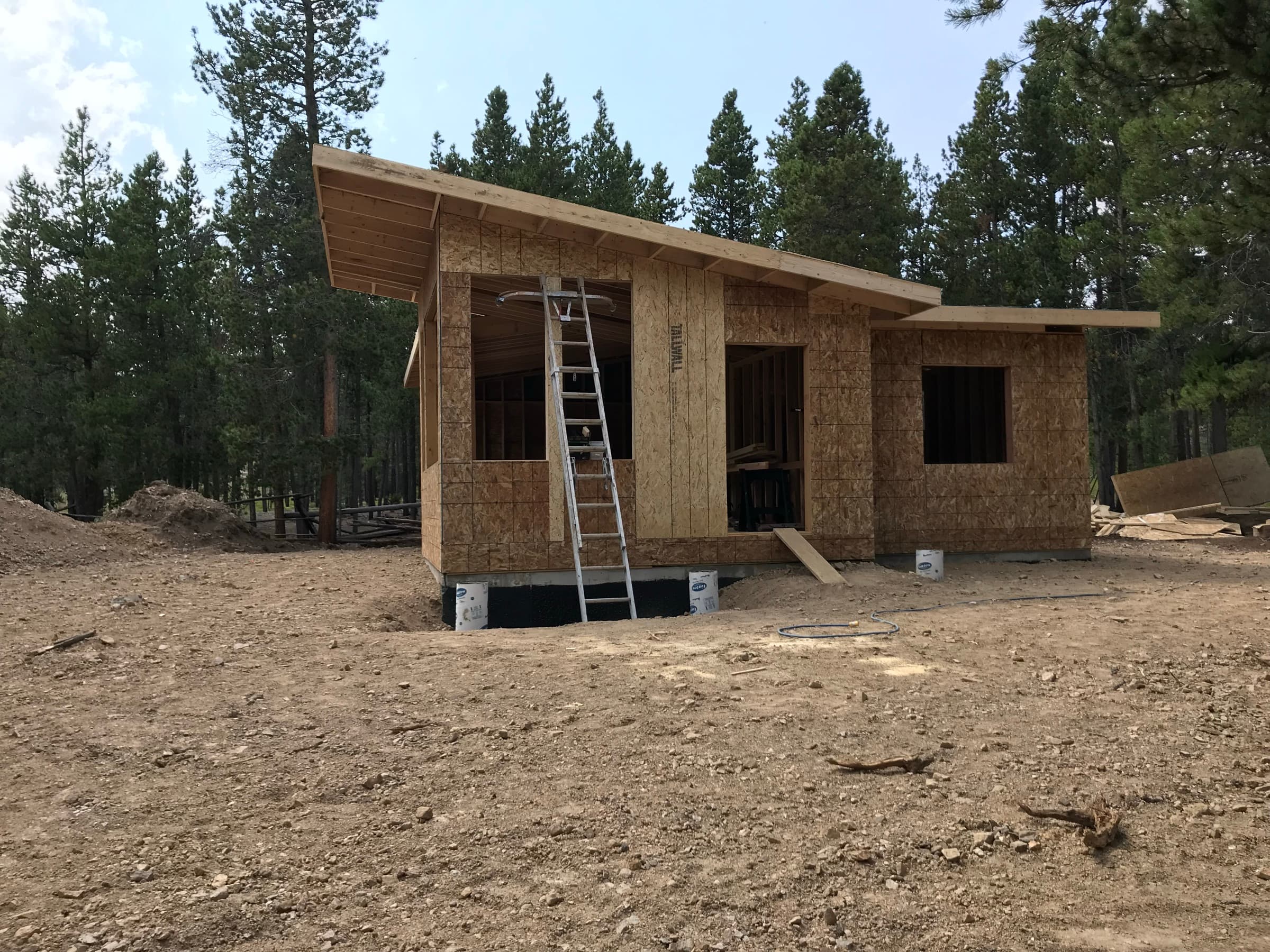 Cabin framed and sheathed, shed roof, trees behind